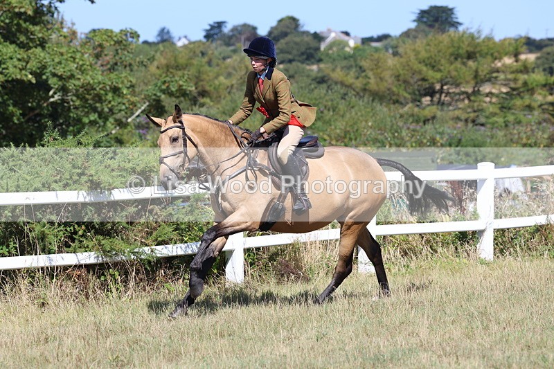 3E7A6420 - Working Hunter Championship