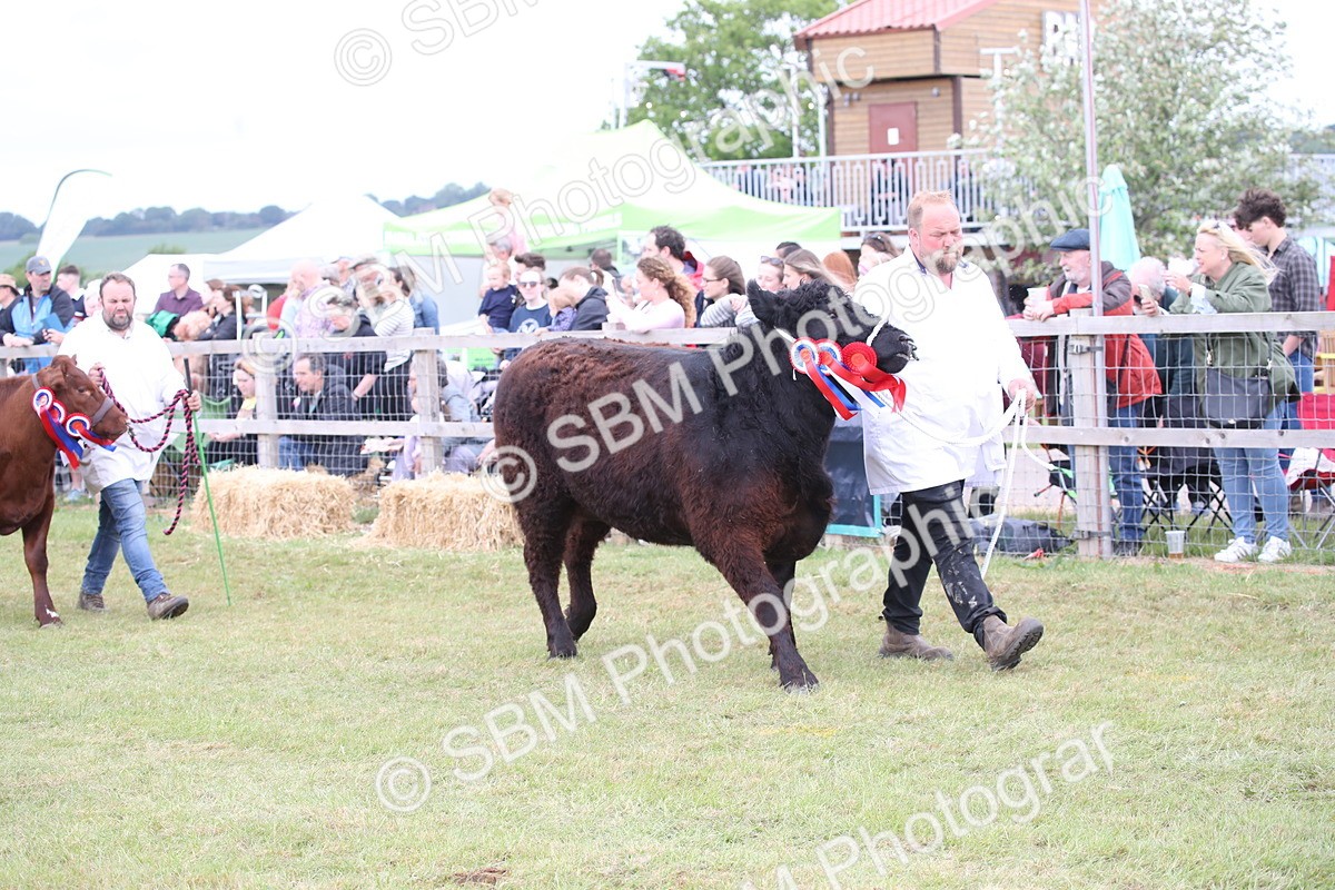 SBM_07838 - Grand Parade