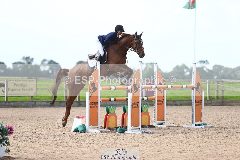 230812A-121210-08903 - Cls 32 Foxhunter