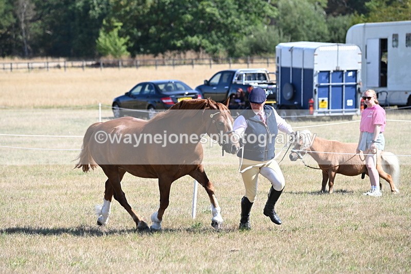 WJ6_4567 - Class 17 Mountain & Moorland