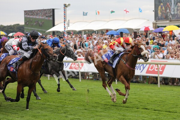 yr23072022r2-28 - Race 2 2.40pm Sky Bet Dash