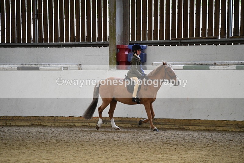 WJ5_7396 - Class 11 Ridden PC - RC Pony