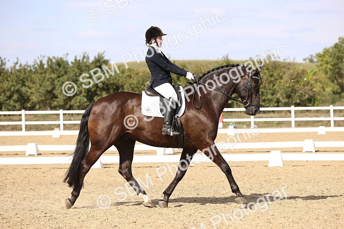 SBM_015219 - Class 8 - Medium 5