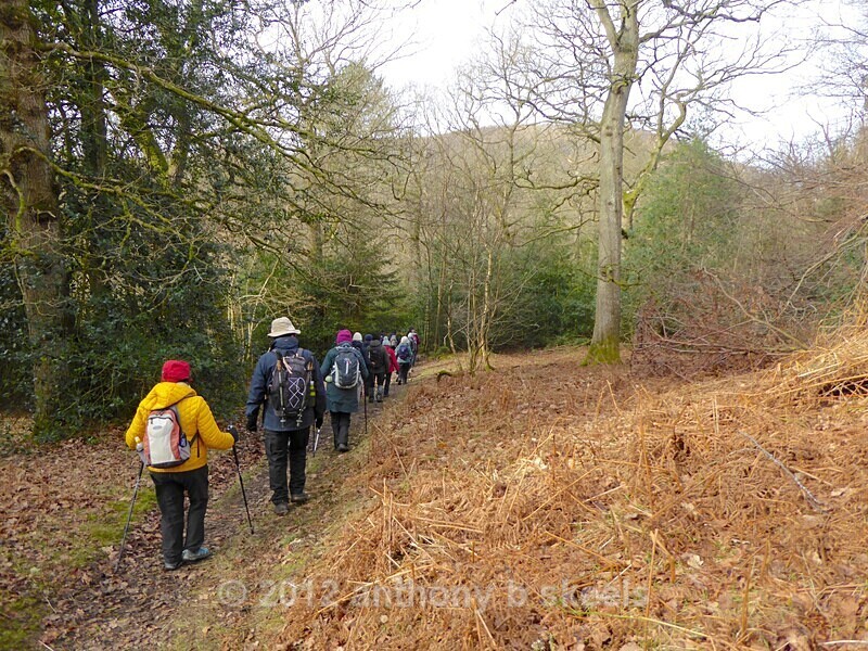 011  Descent throughLow Wood - York Minster Walkers Collection 2025