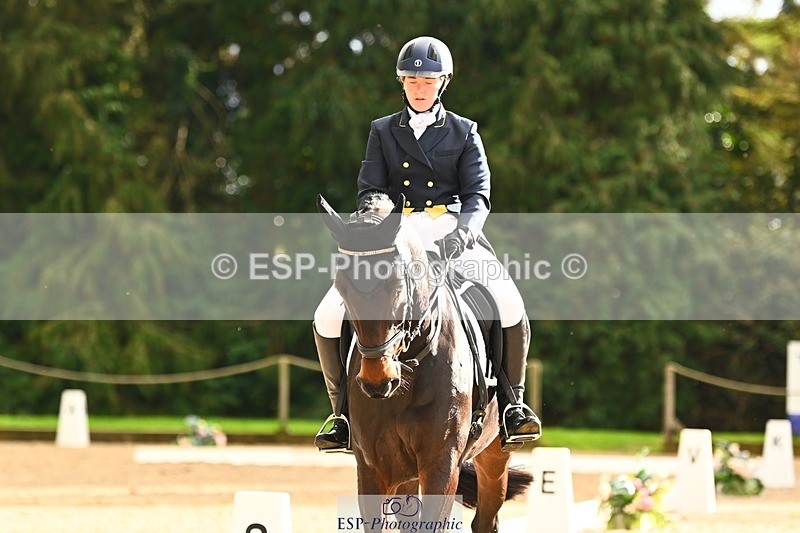 231021-153106-20870 - 259-BOSTON.IV-Rosie.Thomson-DR