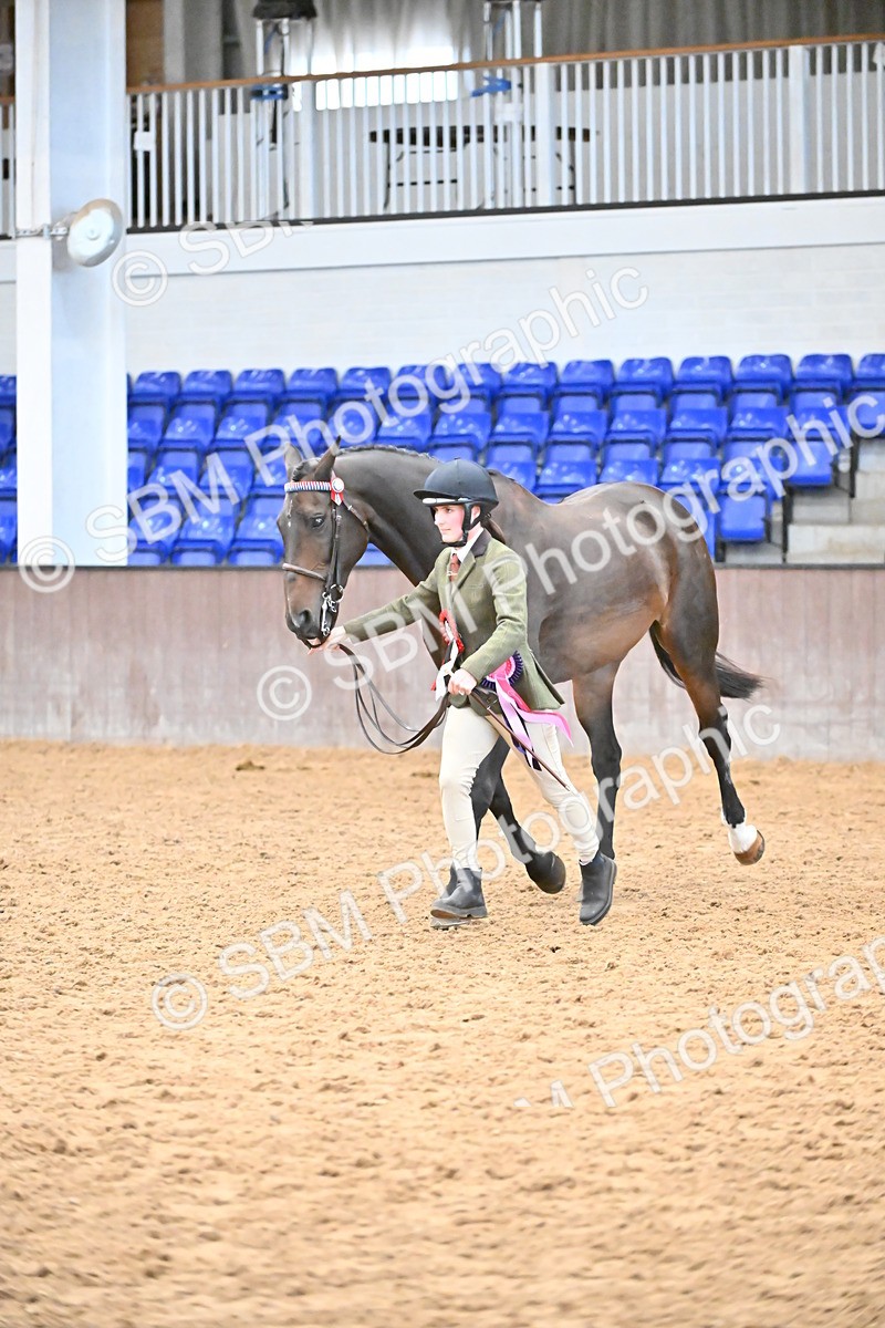 SBM_000773 - Class 16 - In Hand Showing Supreme Championships