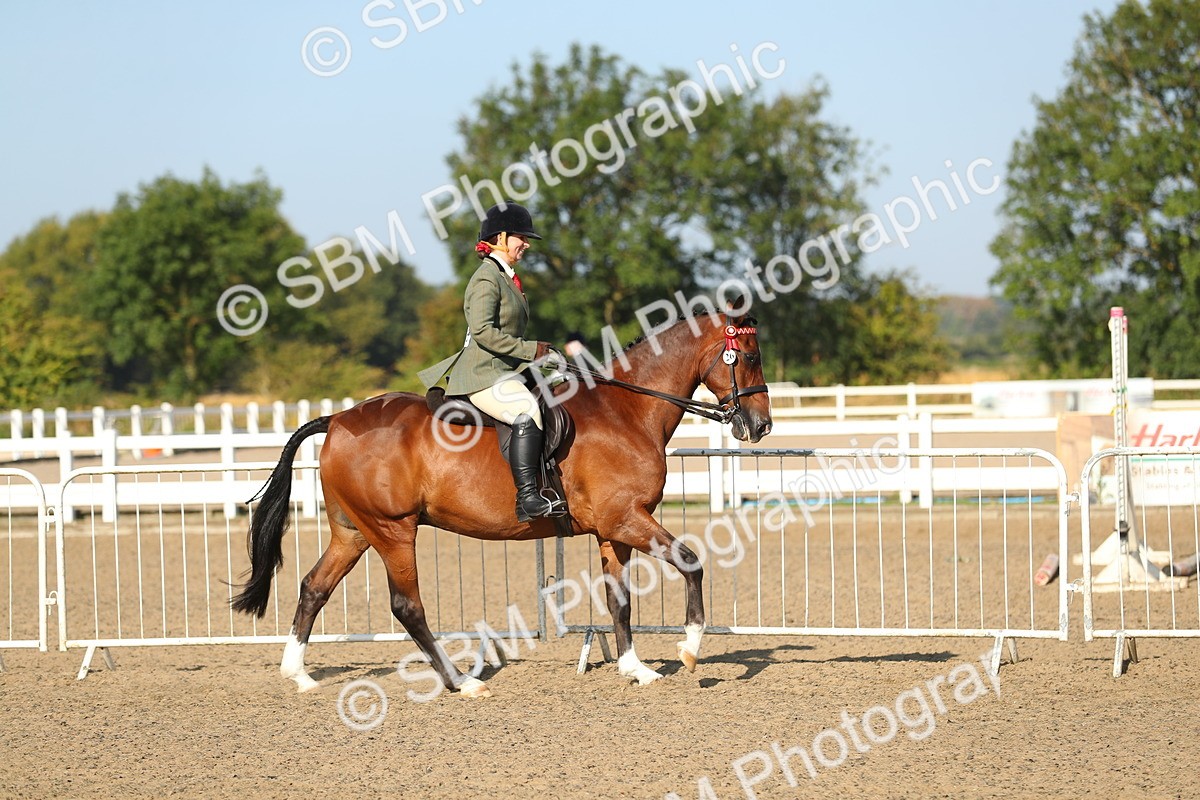 SBM_01130 - Class 42 Ridden Veteran
