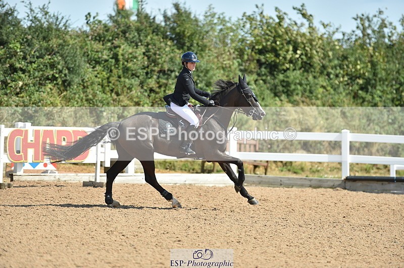 230723A-155500-13216 - Cls 16, 1 Star Bronze 1.15m