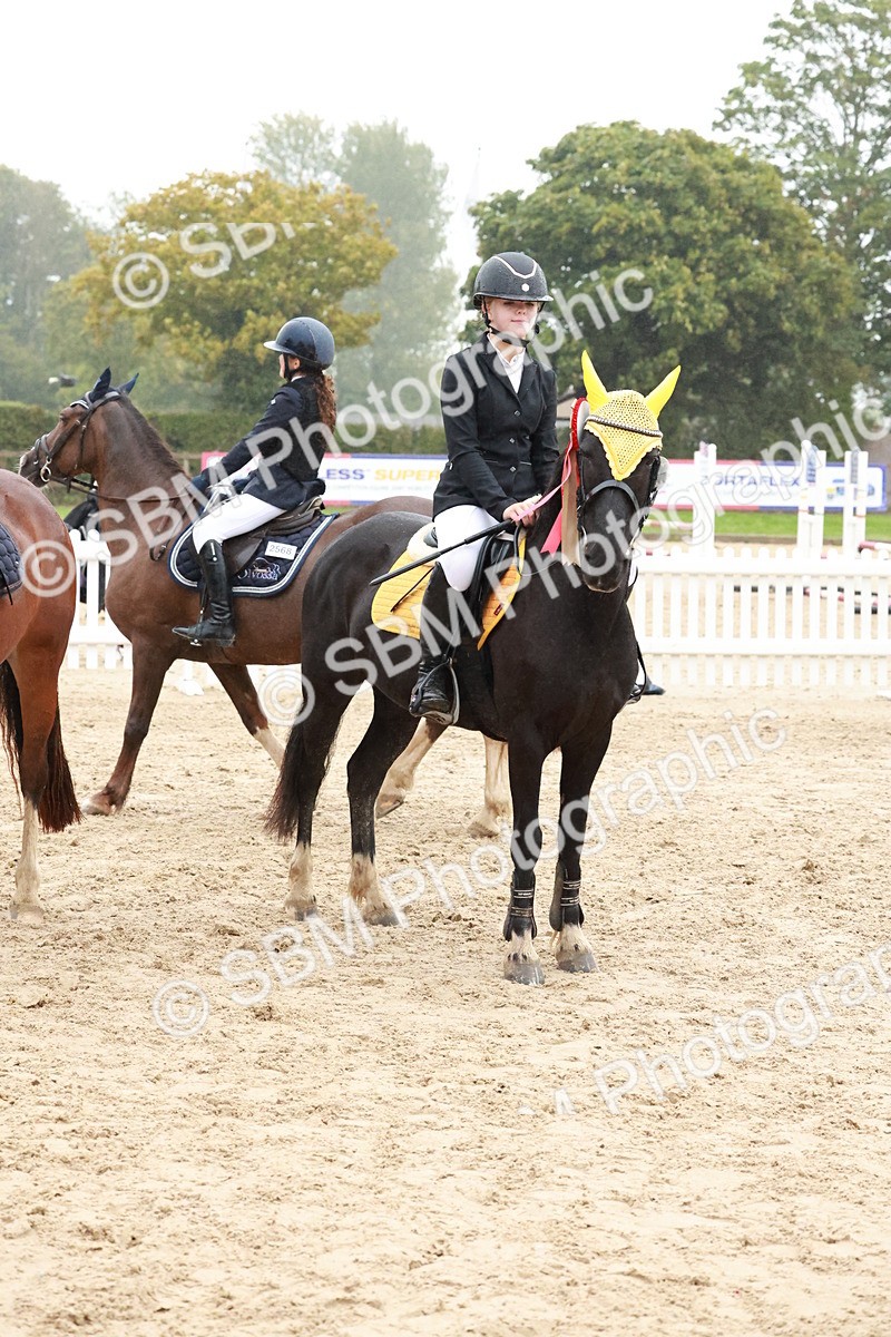 SBM_73603 - Supreme Championship Junior Pony 60cm & 65cm