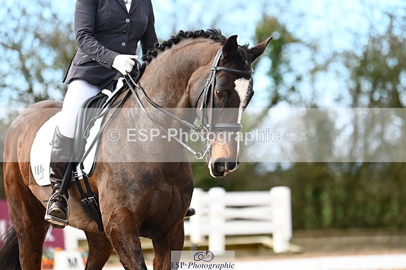 240218A-143800-08698 - 184-jeanette.male-Langaller.Future.Star