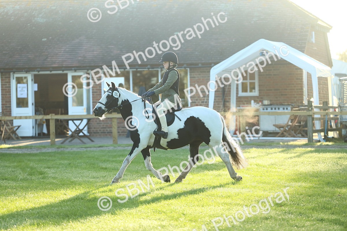 SBM_31732 - S28 - Nursery Stakes Working Hunter Pony