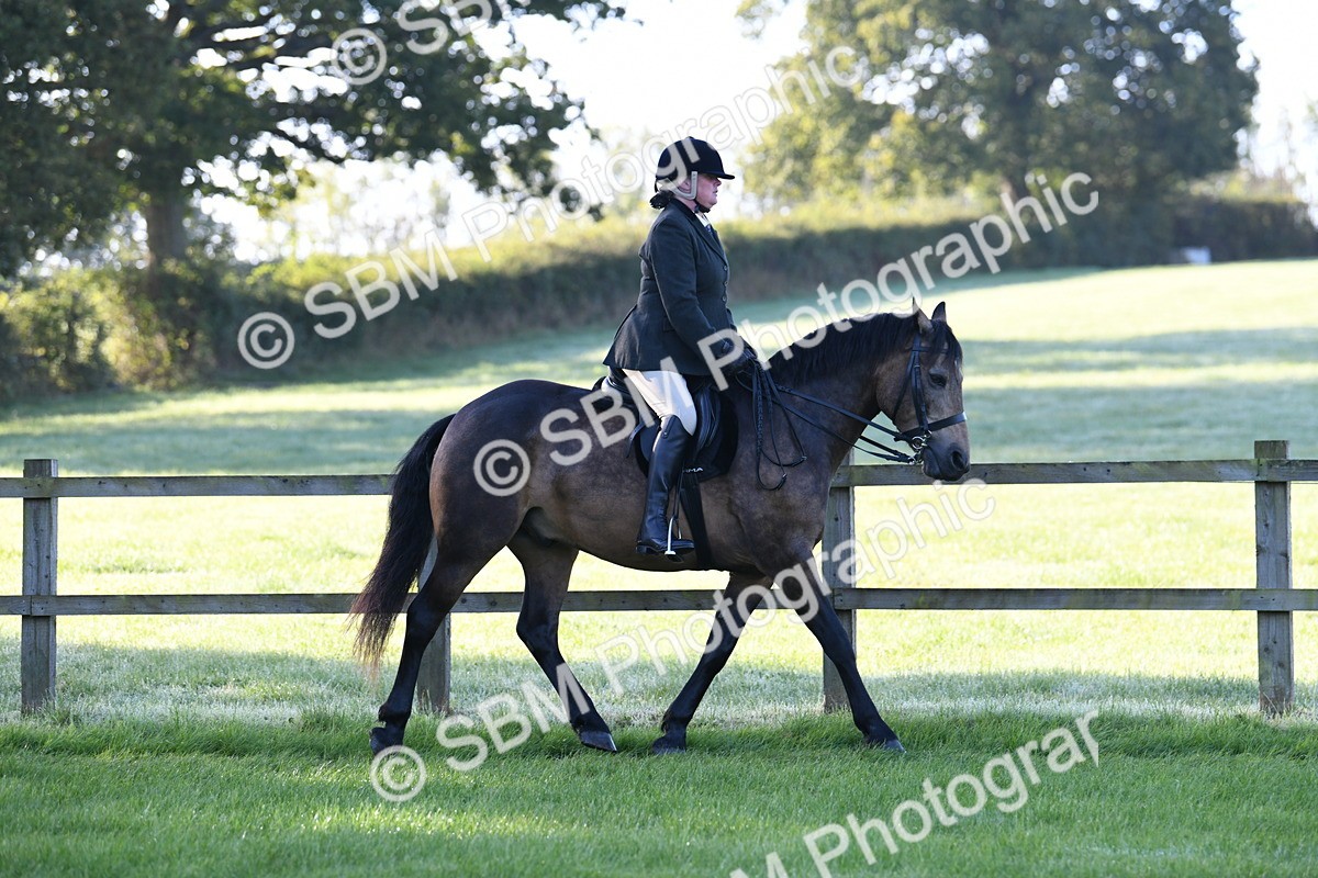 SBM_33992 - S16 - Condition & Turnout - Ridden