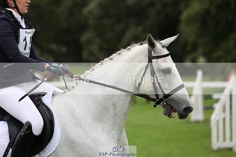 230805-113219-00869 - SJ 11 to 11.55