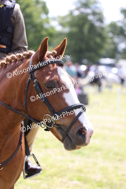 20260614-1921 - Class 21 - Novice Working Hunter Pony