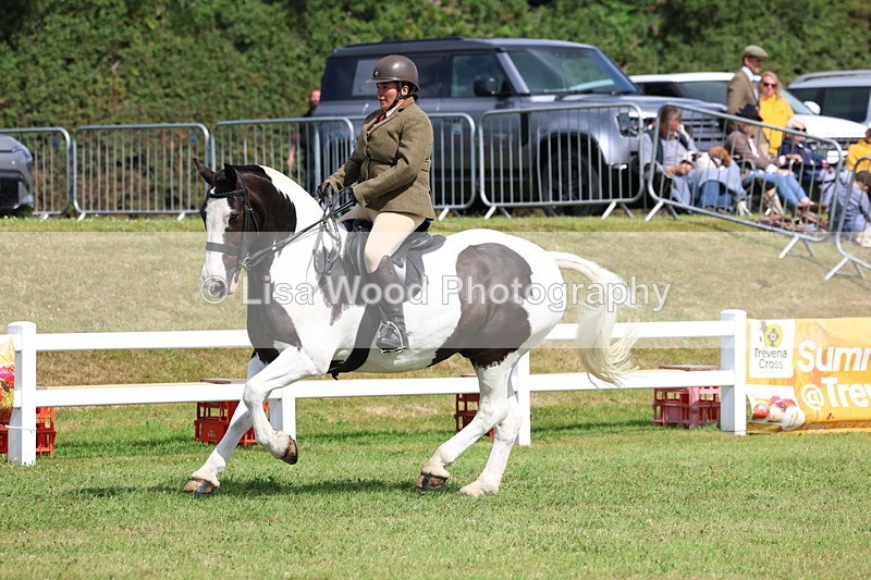 3E7A9746 - Class 5: Rising Star Lightweight/Heavyweight Cobs