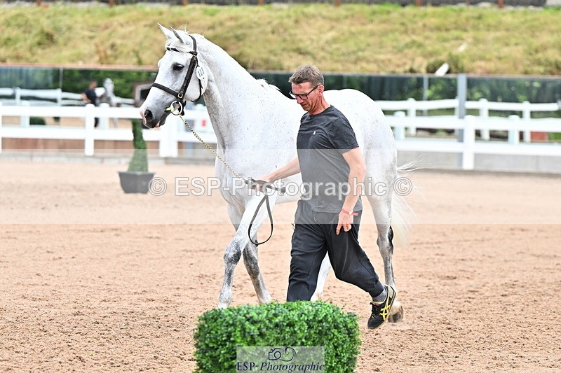 240718A-105324-01951 - Trot Up 2pm to 3pm - This folder is not in time order