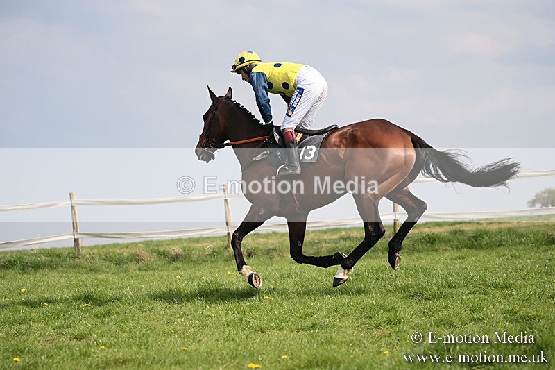 PtP 210418 412 - South & West Wilts Point-to-Point Larkhill 21/04/18