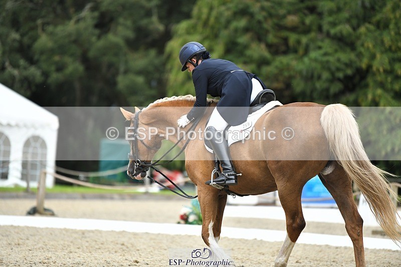 230812-144513-04794 - Cls 7 FEI PSG Bronze