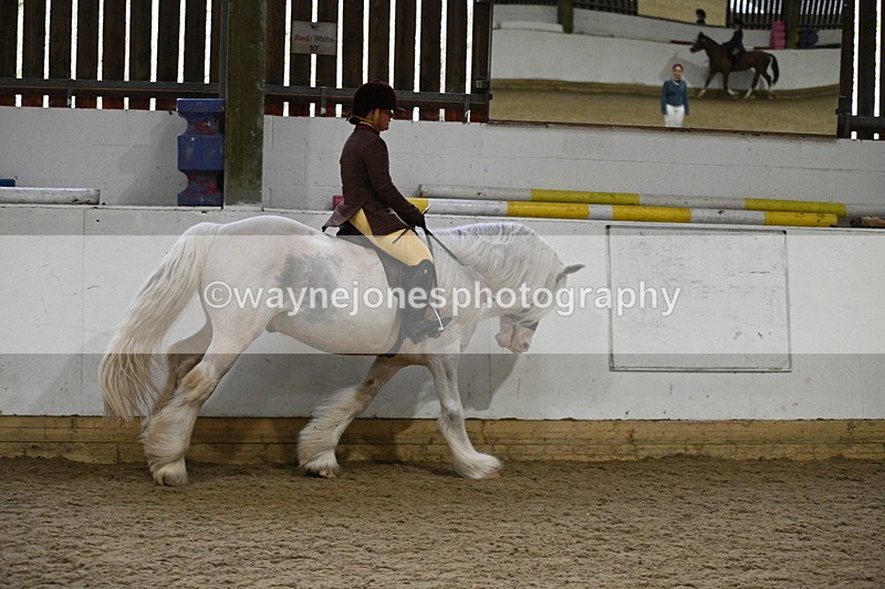 WJ7_3814 - Class 17 Ridden Cob