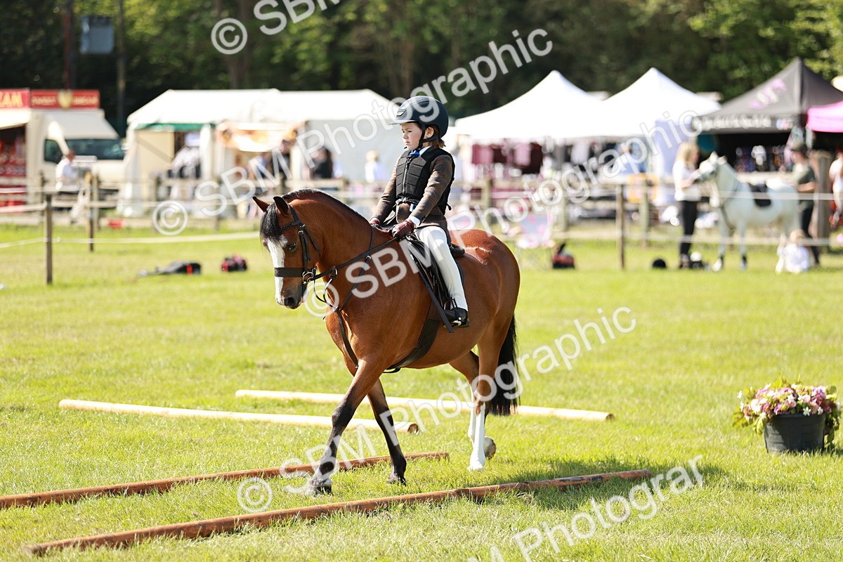 SBM_12731 - Class 106-107 - BSPS LIHS Working Sports Pony