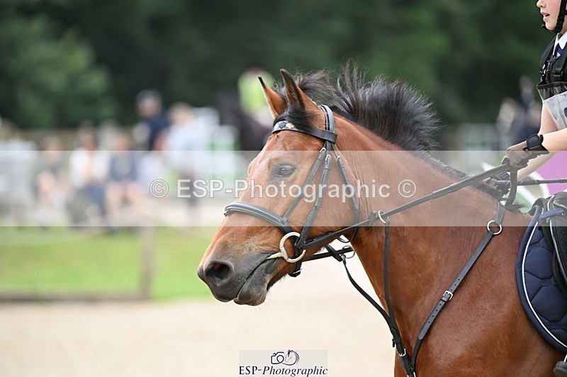 250622A-120212-01343 - 60cm