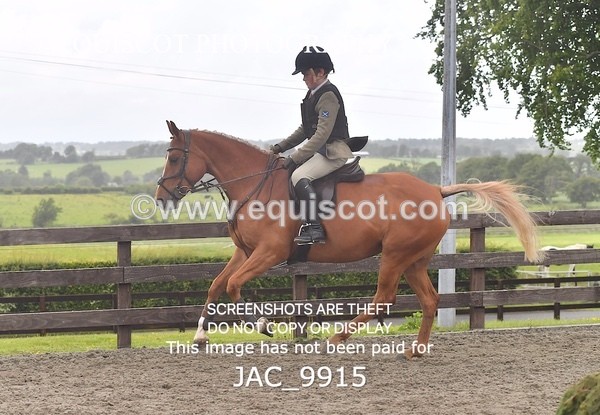JAC_9915 - CLASS 3 Intermediate Working Hunter (0.70m - 0.85m)