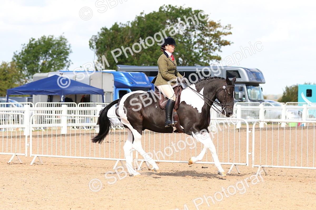 SBM_13489 - Class 212 - Ridden Hunter  - Large