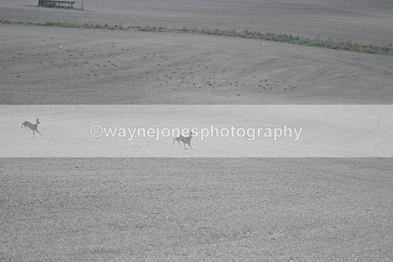 WJ7_7966 - Line 2 A camera