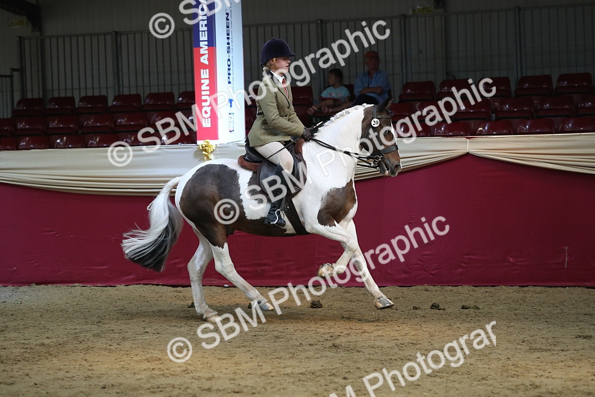 SBM_08299 - Class 11R Regional Ridden Veteran