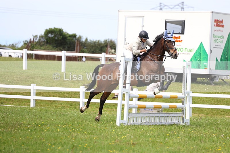 3E7A1466 - Class 13: Senior British Novice/90cm open