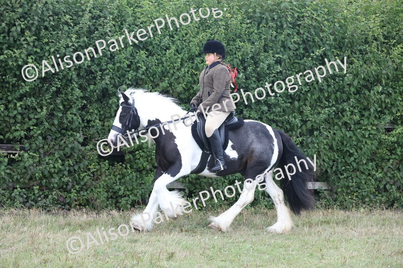 20250831-4268 - Class 20 - Ridden Coloured