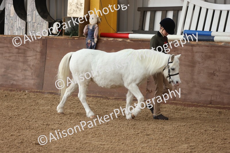 20251109-0548 - Class 21 - Mares 4 Years and over