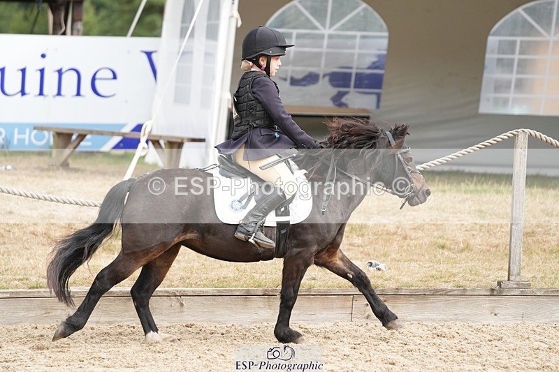 250821A-101314-14019 - WC Round 2 10.00 to 11.00