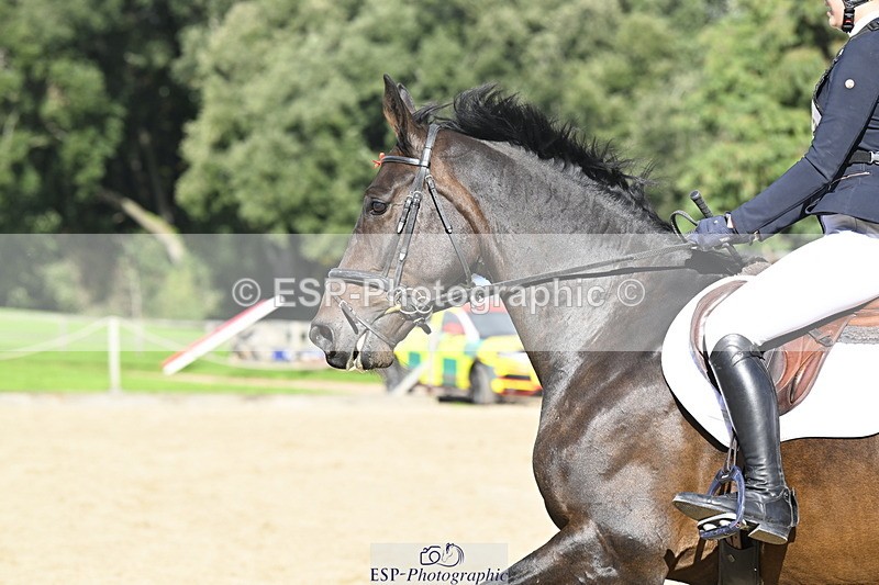 251005A-142323-04387 - Cls 09 Nov 80-85cm