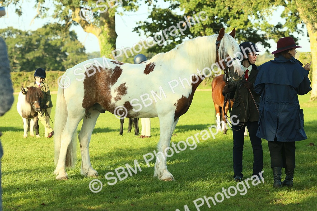 SBM_57519 - S37 - Starters In Hand Showing