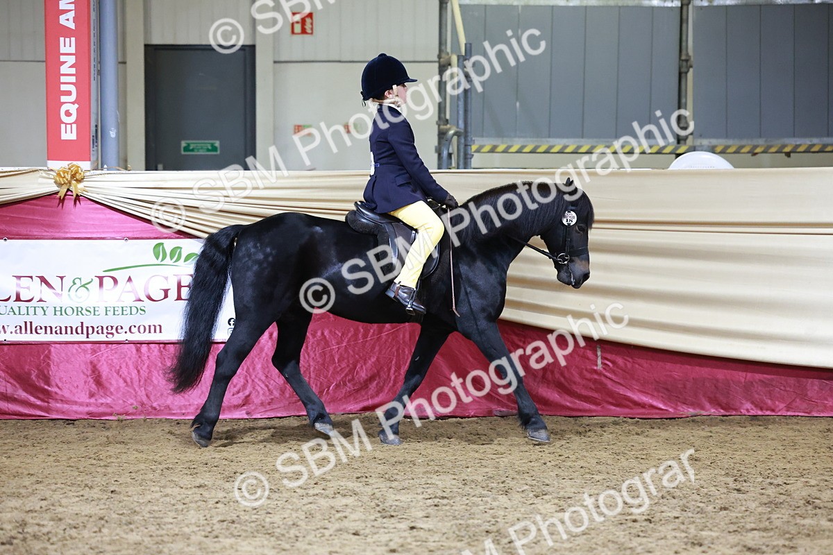 SBM_20553 - Class H - IH Competition - Riding Club champ