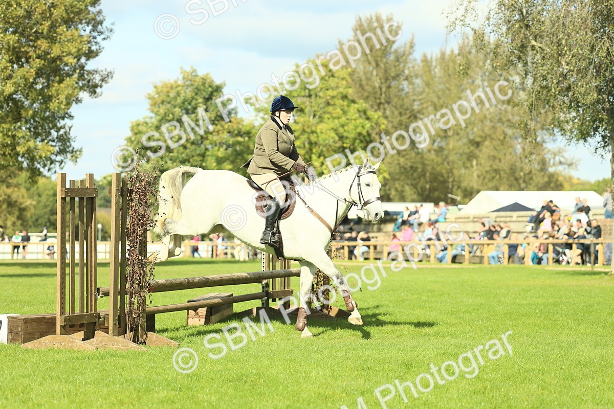 SBM_48052 - S32 - Novice & Newcomers Working Hunter