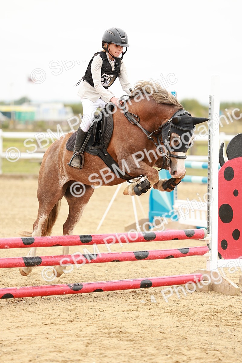 SBM_007537 - Class 3 - 60cm