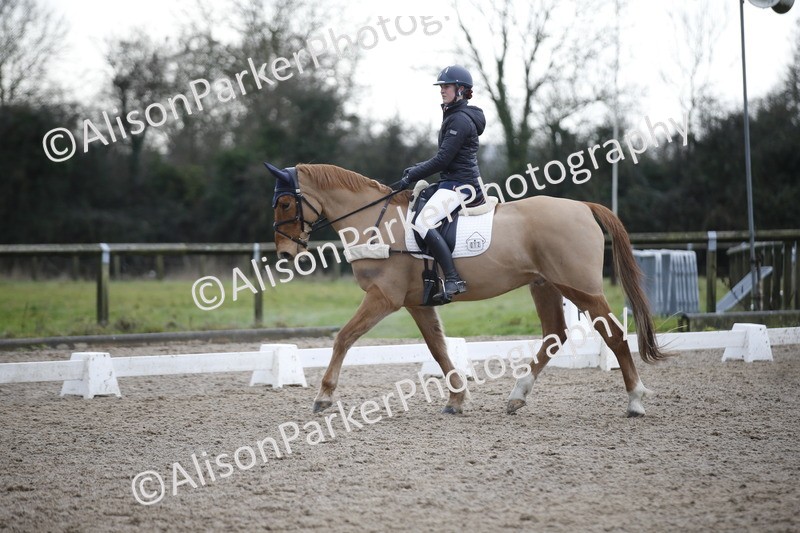 20260127-0313 - Class 16 - BD Novice 2