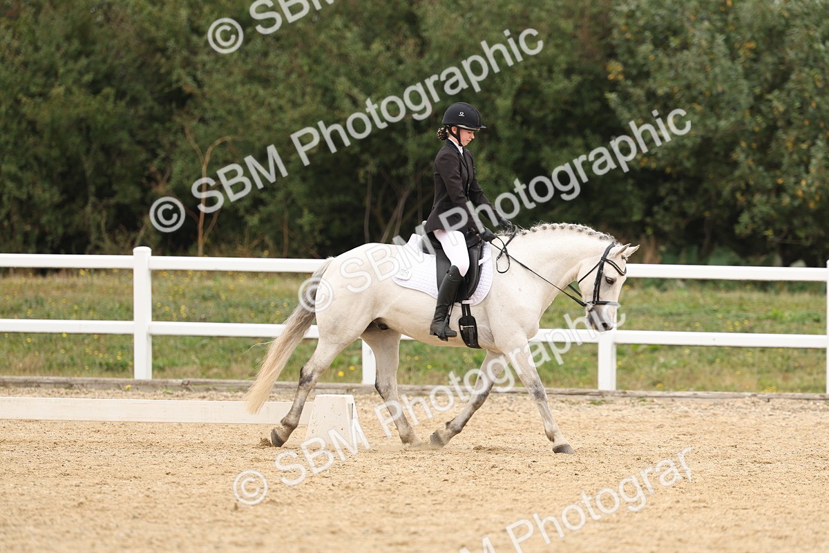 SBM_01072 - Class 8 - Novice 27 Champs