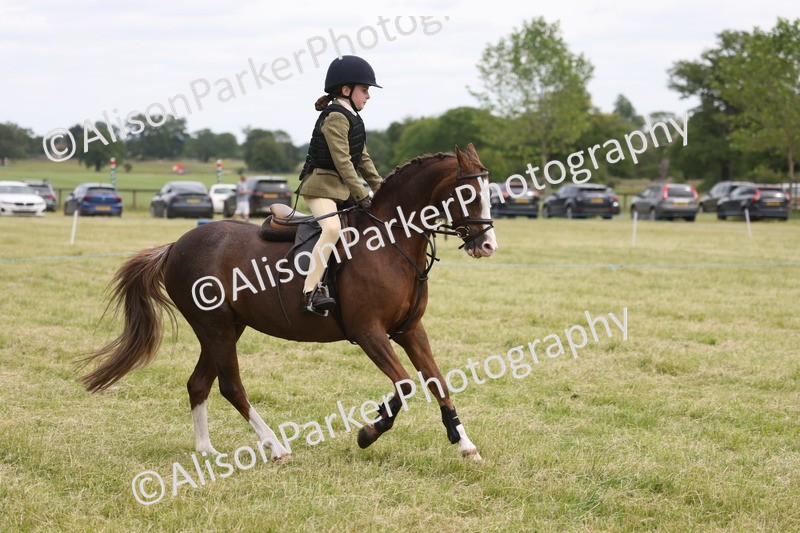 20260614-3029 - Class 22 - Open Working Hunter