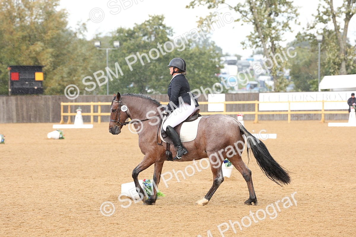 SBM_19568 - D10 - Small Tour Championship Prelim 2