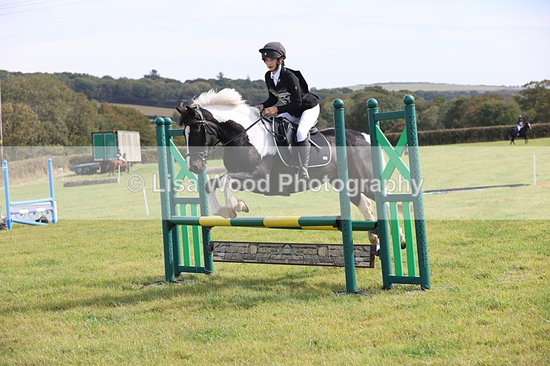 JPP_8621 - Class 2: Trekenning: 80cm Showjumping