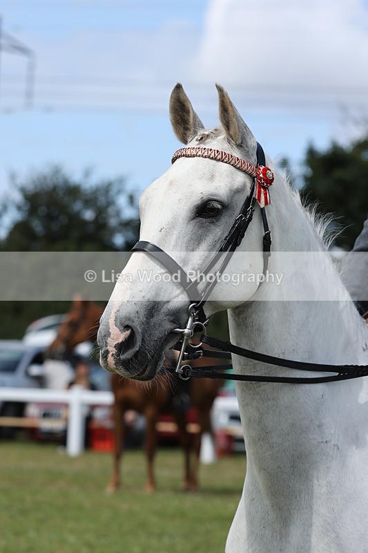 JPP_1463 - Class 17: Cornish Combination Open