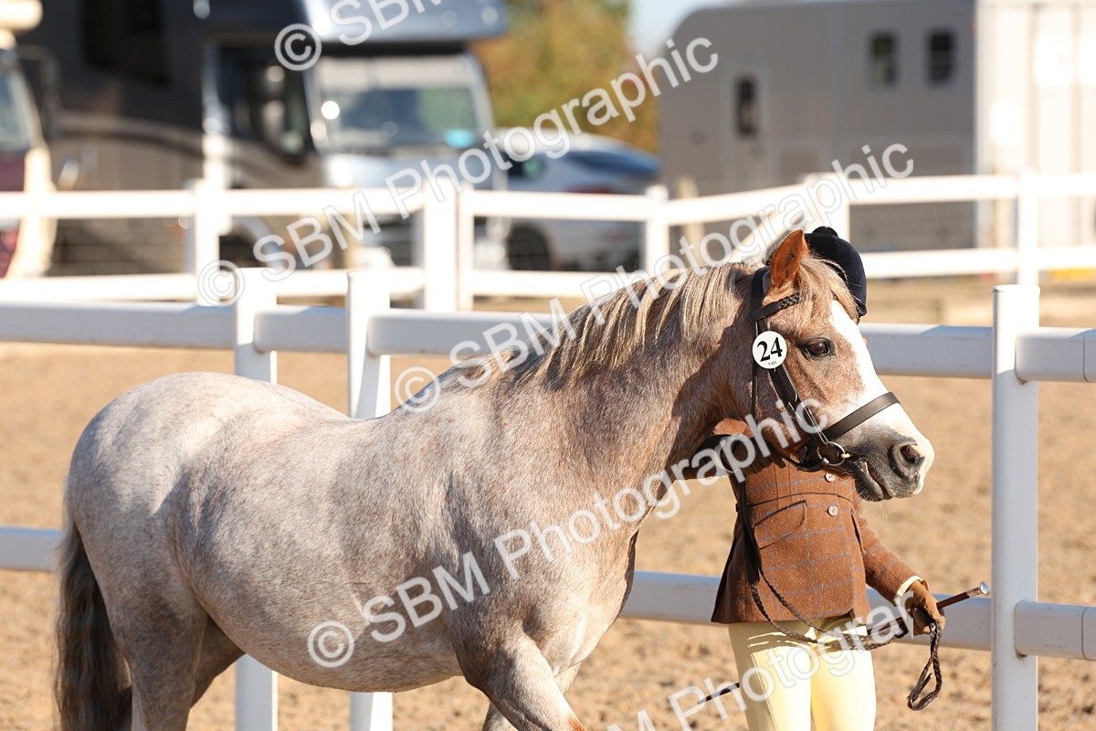 SBM_11624 - Class 203 - Young Handler 11 to 16 years