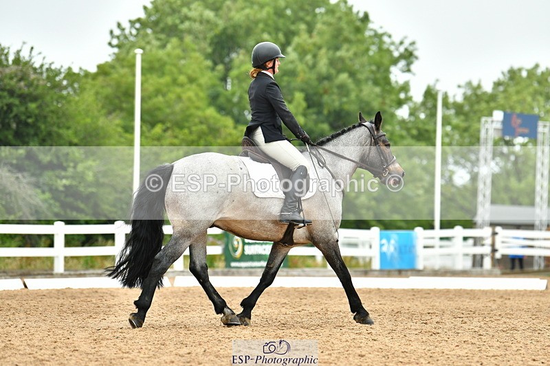 230708A-110048-02471 - Prelim 13