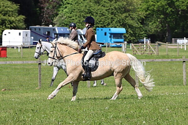 IMG_4254 - Working Hunter