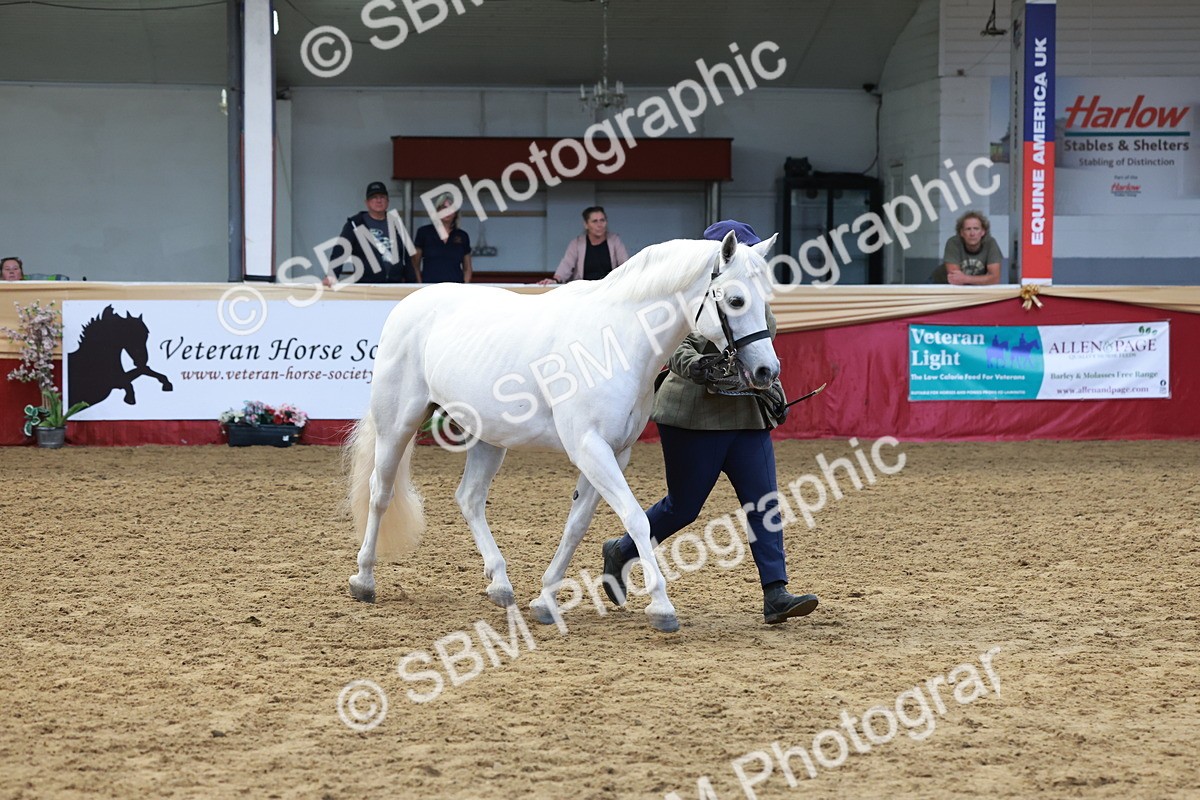 SBM_17478 - Class 951 - M&M IH Supreme Final