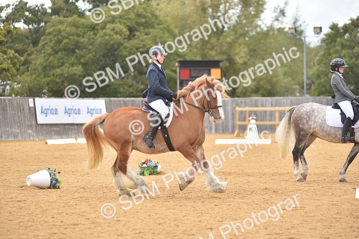 SBM_29615 - D16 -Small Tour Championship Novice 2