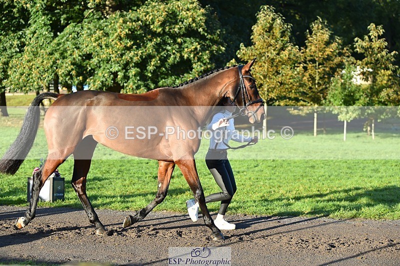 231022-092022-21711 - 665-OPPOSITION.FIDELITY-Izzi.Kirk-TrotUp+SJ